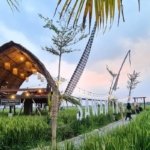 √ Hutan Kota Binjai: Wisata Alam & Rekreasi Keluarga di Tengah Kota, Review & Info Lengkap