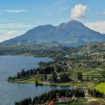 √ Kawasan Alahan Panjang: Surga Perkebunan Teh di Sumatera Barat, Review & Info Lengkap