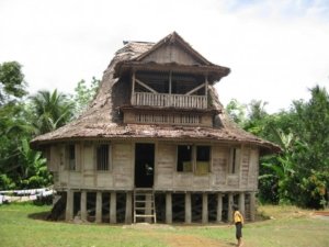 √ Kampung Tumöri: Wisata Budaya & Alam Autentik Nias, Review & Info Lengkap