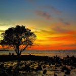 √ Pantai Oesapa Kupang: Pantai Kota Favorit dengan Sunset Indah, Review & Info Lengkap