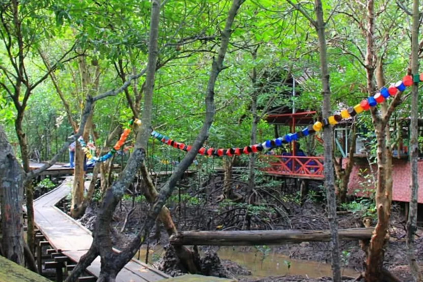 √ Hutan Mangrove Bandar Bakau: Wisata Edukasi & Alam Hijau di Tepi Laut, Review & Info Lengkap