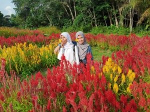 √ Taman Wisata Okura: Agrowisata & Alam Asri di Pekanbaru, Review & Info Lengkap