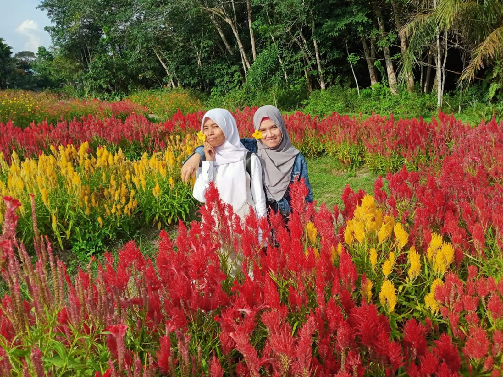 √ Taman Wisata Okura: Agrowisata & Alam Asri di Pekanbaru, Review & Info Lengkap