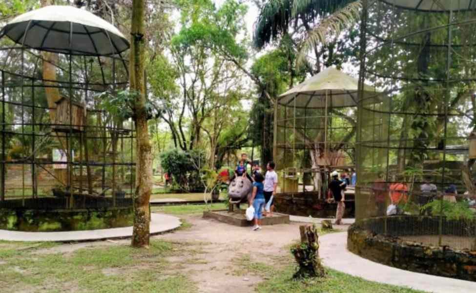 √ Taman Kota Pekanbaru: Ruang Hijau Modern di Tengah Kota Bertuah, Review & Info Lengkap