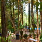 √ Hutan Kota Pekanbaru: Ruang Hijau Segar untuk Relaksasi & Olahraga, Review & Info Lengkap