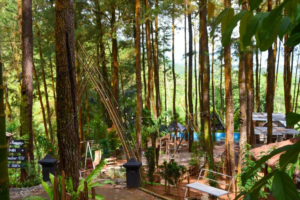 √ Hutan Kota Pekanbaru: Ruang Hijau Segar untuk Relaksasi & Olahraga, Review & Info Lengkap