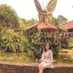 √ Hutan Kota Binjai: Wisata Alam & Rekreasi Keluarga di Tengah Kota, Review & Info Lengkap